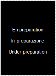 Zone de Texte: En prparation

In preparazione

Under preparation
