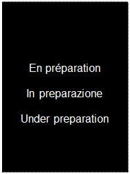 Zone de Texte: En pr�paration

In preparazione

Under preparation
