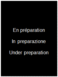 Zone de Texte: En pr�paration

In preparazione

Under preparation
